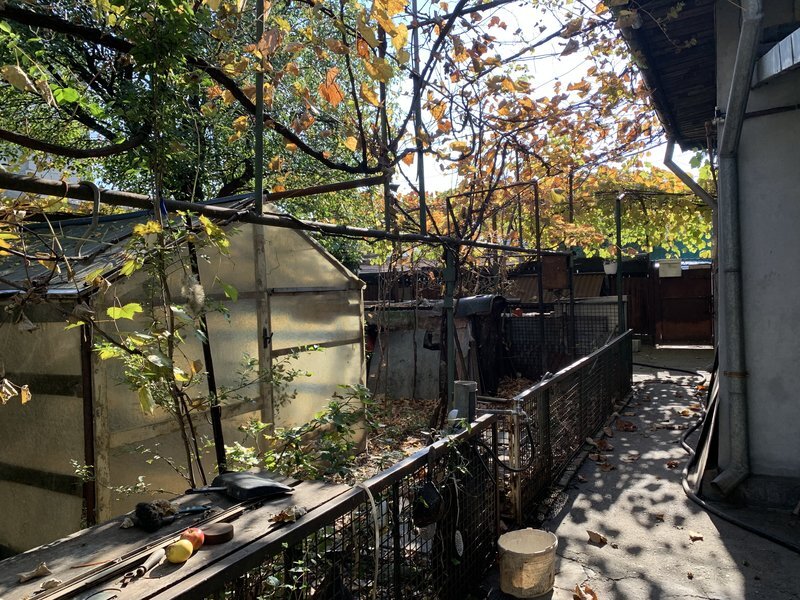 Aparatorii Patriei,  statie metrou 1 min.