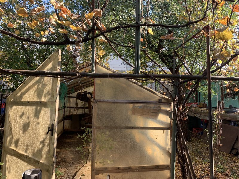 Aparatorii Patriei,  statie metrou 1 min.